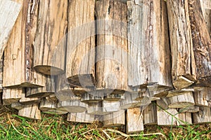 Stack of Chopped Log, Firewood