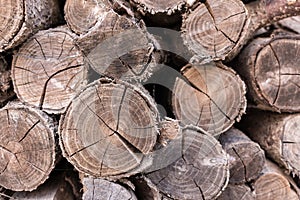 Stack of chopped woodfire closeup. Trunk concept. Cracked logs texture. Old cut firewood.