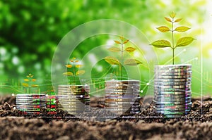 stack of coin growth money and tree concept finance indices on n