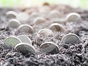 Stack Coin on Soil Nature with Over Light Background