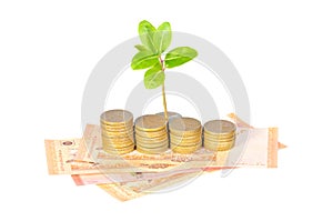 Stack of coins and bill notes with plant sprouting isolated on white