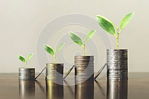 Stack coins with plants to grow into steps. Business growth concept