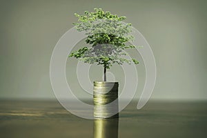 Stack coins with plants to grow into steps. Business growth concept