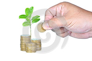 Stack of coins with sprouting plants and hand isolated on white