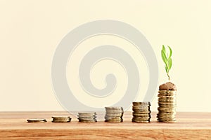 stack of coins with youg growing plant. financial success and managament concept