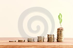 stack of coins with youg growing plant. financial success and managament concept