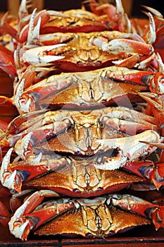 Stack of crabs