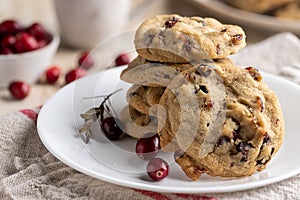 Stack of Cranberry Walnut Cookies