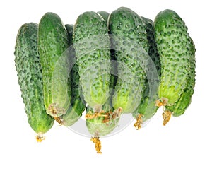 Stack of cucumbers with dry flowers isolated over white