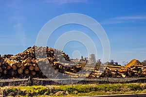 Stack Of Cut Logs On Way To Lumber Mill