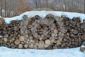 Stack of cut wood under the snow