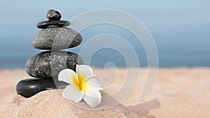 Stack of dark stones and flower on sand near sea. Zen concept