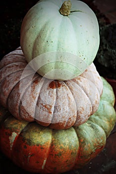 Stack of decorative pumpkins