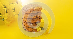 Stack of delicious chocolate chip cookies next to flowers on yellow background