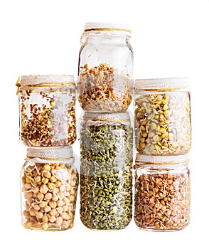 Stack of Different Sprouting Seeds Growing in a Glass Jar photo