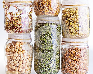 Stack of Different Sprouting Seeds Growing in a Glass Jar photo