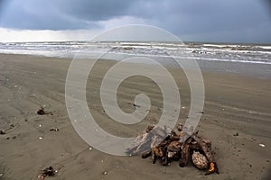 Stack Of Driftwood