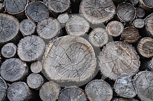 Stack of dry birch firewood