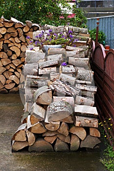 Stack of dry chopped firewood prepared for winter