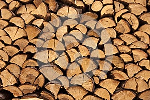 Stack of firewood photo