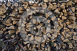 A stack of firewood