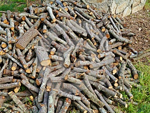 A stack of firewood of holm oaks