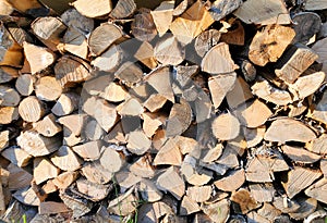 A stack of firewood, log ends, chopped birch and pine firewood, texture