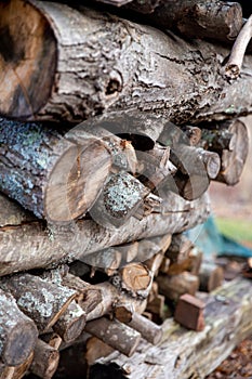 Stack of Firewood