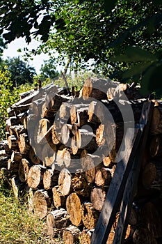 A stack of firewood, sawn wood in the backyard.