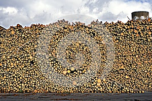 Stack of firewood