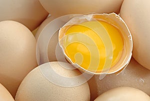 Stack of fresh eggs