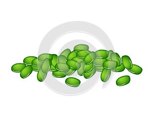 A Stack of Fresh Green Mung Beans
