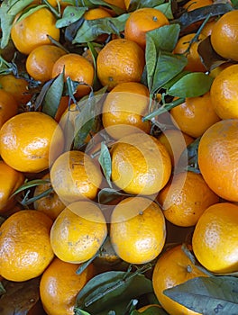 Stack of Fresh and Ripe Mandarin Oranges