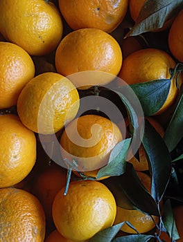 Stack of Fresh and Ripe Mandarin Oranges
