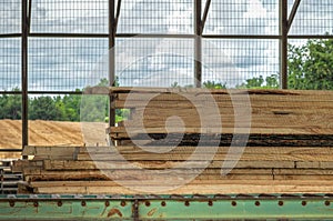 Stack of Freshly Sawn Boards