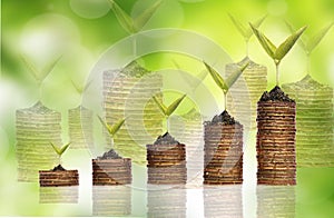 Stack golden coin with reflection over green background