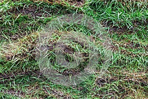 Stack of grass sheets with dirt in the between them