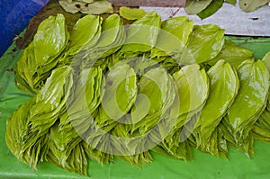 Stack of green fresh betel leaf in asia market, India