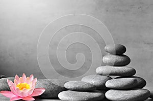 Stack of grey massage stones on grey background and lotus flower