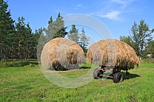 Stack hay