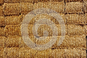 Stack of hay bales