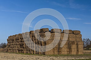 Stack of hay with blue sky and green field in winter sunny day