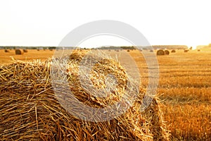 Stack of hay closeup on a field with dry yellow grass on a sunset.