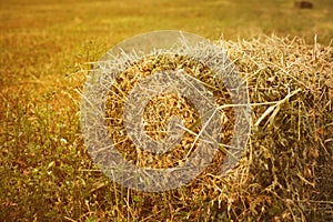 Stack of hay on field close up. Details of hay straw