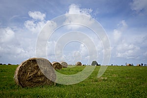 A stack of hay with green grass