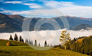 Stack of hay on a green meadow in the mountains