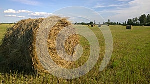 Stack of hay photo