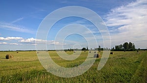 Stack of hay photo