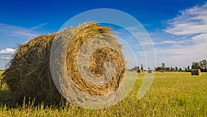 Stack of hay photo