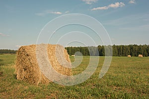 Stack of hay